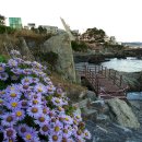 지천소공원 이미지