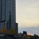 현기농장 | 합정밥집 추천ㅣ찐 오리주물럭 맛집 마포오리농장 리얼후기