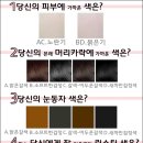 나만의 퍼스널컬러 찾기 이미지