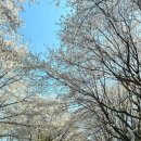 공기1리마을회관 이미지