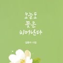 오늘도꽃 - 달성군 대실역남로 104 | 오늘도꽃