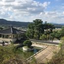 이천농업테마공원 국민여가캠핑장 티스토리