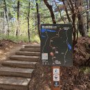 태안읍 행정복지센터 이미지