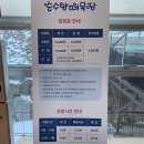 법인대관령순수양떼목장