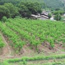 자드락산촌생태마을 이미지