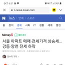 파인타운 이미지
