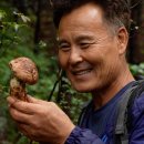 가을에 반짝 시장을 찿아서 순천만,설악산,태안의 신진항,남원 지리산,고성 아야진항으로 떠나는 한국 기행(EBS,11/3~7, 9시30분 이미지