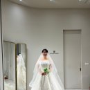 마리스포사앤아뜰리에레이나 이미지