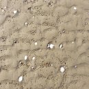 훌쩍 떠나온 몽산포해수욕장 이미지