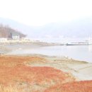 석포리선착장 이미지