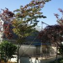 베르네집 이미지