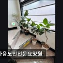 한마음노인전문요양원 이미지