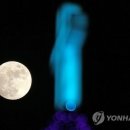 럭키유통 이미지