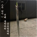 삼포방파제 이미지