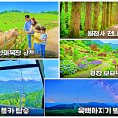 뉴스카이관광호텔식당