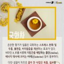 쿡 커피 이미지