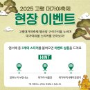 대가야광장 이미지