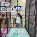 춤의 고을 고성사람들 | 속초 다이나믹메이즈 &amp;얼라이브하트 실내 체험 놀거리 가볼만한곳 맛집 옛고을순두부