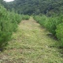 솔치농장 이미지