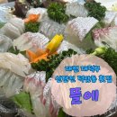 세븐일레븐 대전신탄중앙점 | [대전 대덕구] 신탄진 덕암동 동네단골횟집 스끼맛집 뜰에 / 2차 내계절포차