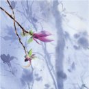 수채화A 이미지