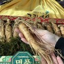 구성1로 이미지