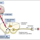 신호의료기 이미지