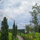 전주원동초등학교 | 전주 디오니 와인 스토어&amp;카페 _ 드라이브 겸 구경하기 좋은 곳