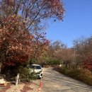 목감사우나 이미지