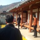 대종2리 Daum카페