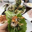백김치새싹막회 이미지