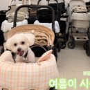원미구 도약로 239 네이버블로그