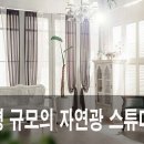 제제스튜디오 사하점 이미지