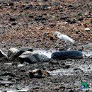 빛과갯벌-2 이미지