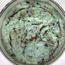 민트인사이트 이미지