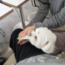 라페PC방 | 26년 첫 일상글