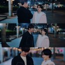 강쥐생각 Daum카페
