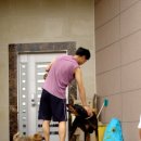 멍구야 놀자 이미지