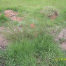 서당농장 이미지