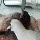 삼랑진약국 이미지