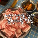 🐷 천안 성성동 맛집 추천! 냉동삼겹살 무한리필집 냉삼골목 솔직 방문 후기