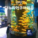다누리센터 아쿠아리움 | 다누리 아쿠아리움 할인 예매 예약 주차장 4D