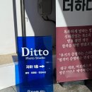 대구 스튜디오 디토 : 프로필 촬영 / 발렌타인 컨셉 촬영 후기