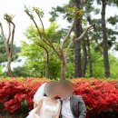 서지원 | 대구 야외스냅 서지원 작가님 1시간 촬영 후기