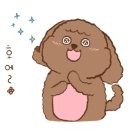 칼만두전문집 이미지
