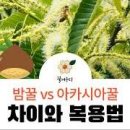 꿀 (아카시아꿀 vs 밤꿀) 그리고 꿀 10 이미지