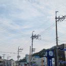 완도중앙시장 | 3박4일 전남여행 | 완도산 전복물회 완도중앙시장맛집 진미횟집