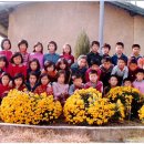 장흥 4리 이미지