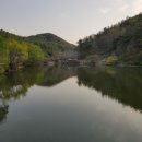 옹당못 네이버블로그