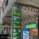 WR(인천국제공항공사)-[제2터미널대로]-하-9 | [항공 뉴스] 아시아나항공, 내년 1월 인천국제공항 2터미널로 이전